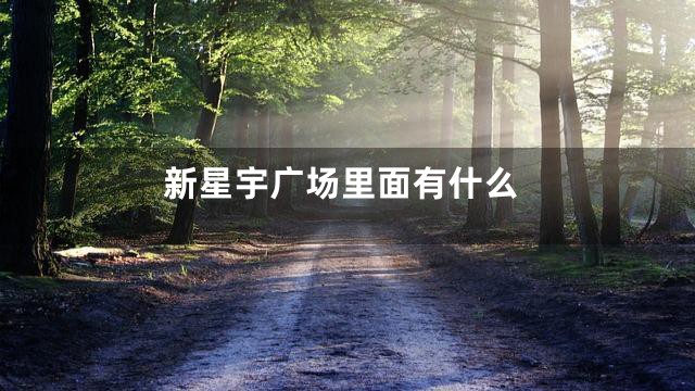 新星宇广场里面有什么