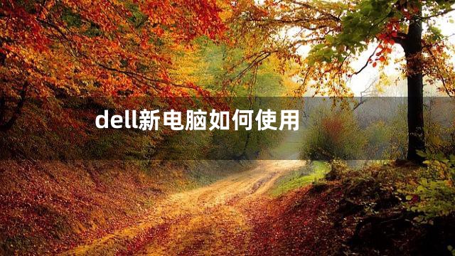 dell新电脑如何使用