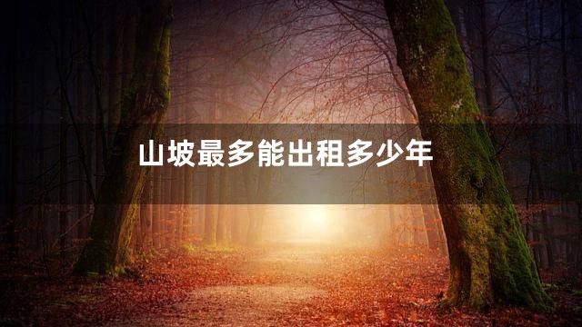 山坡最多能出租多少年