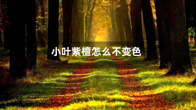 小叶紫檀怎么不变色