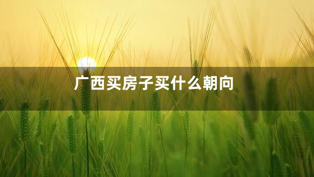 广西买房子买什么朝向