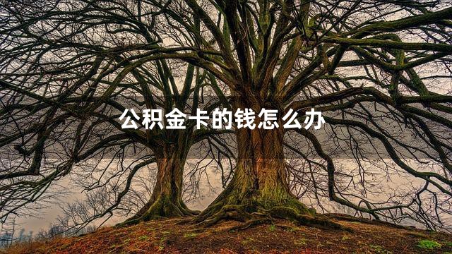 公积金卡的钱怎么办