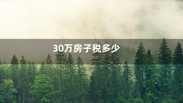 30万房子税多少