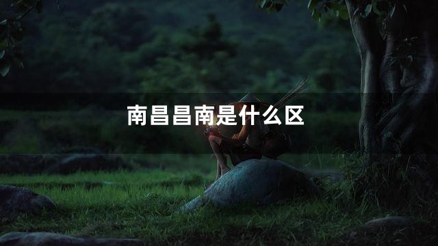 南昌昌南是什么区