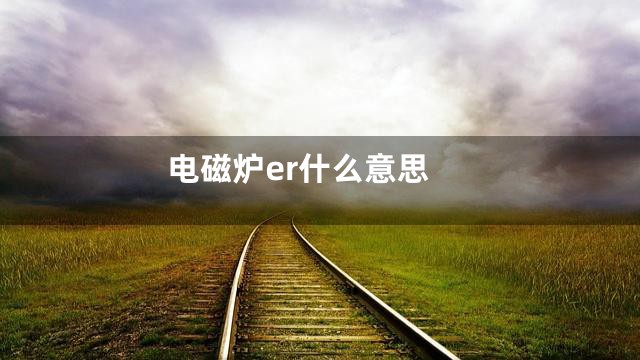 电磁炉er什么意思