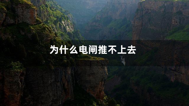 为什么电闸推不上去