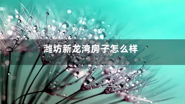 潍坊新龙湾房子怎么样