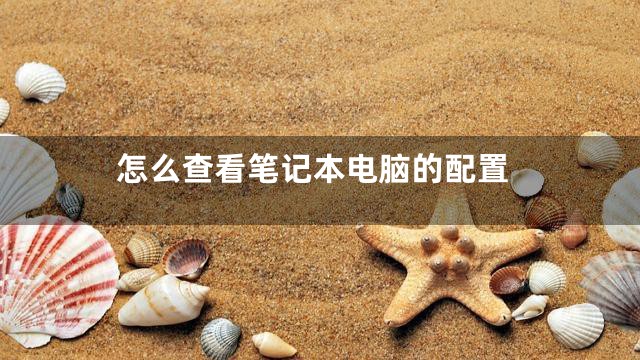 怎么查看笔记本电脑的配置