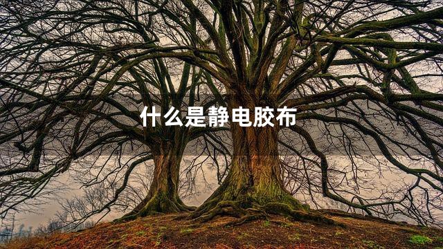 什么是静电胶布