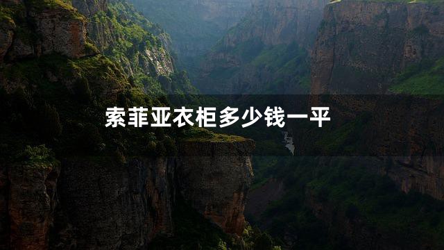 索菲亚衣柜多少钱一平