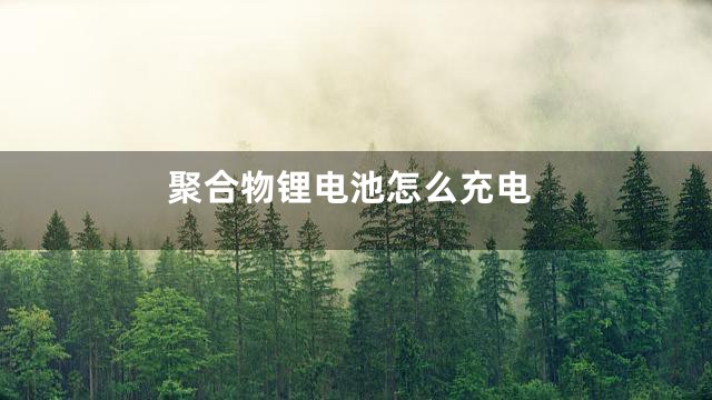 聚合物锂电池怎么充电