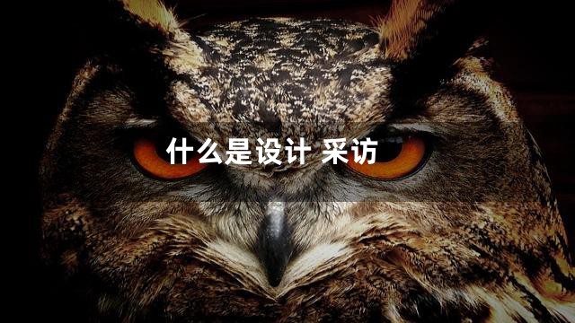 什么是设计 采访
