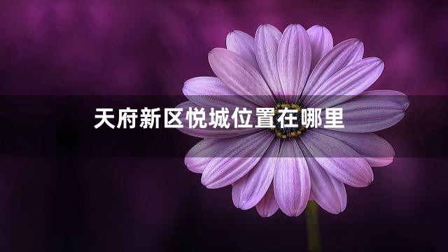 天府新区悦城位置在哪里