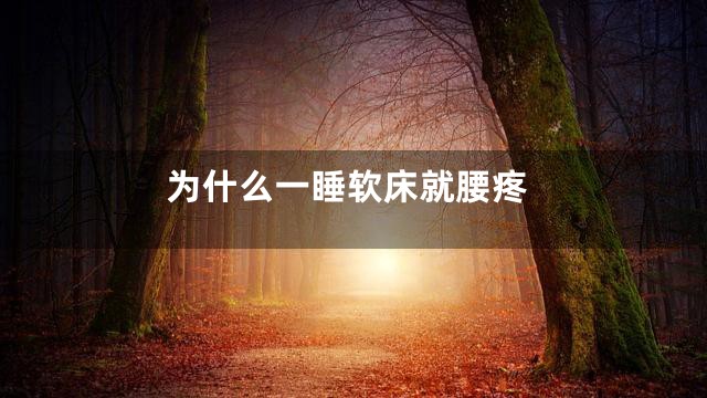 为什么一睡软床就腰疼