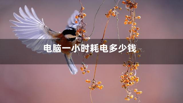 电脑一小时耗电多少钱