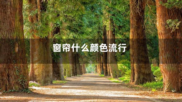 窗帘什么颜色流行