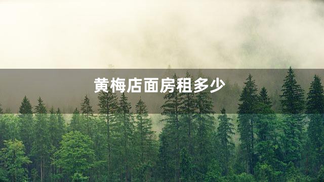 黄梅店面房租多少