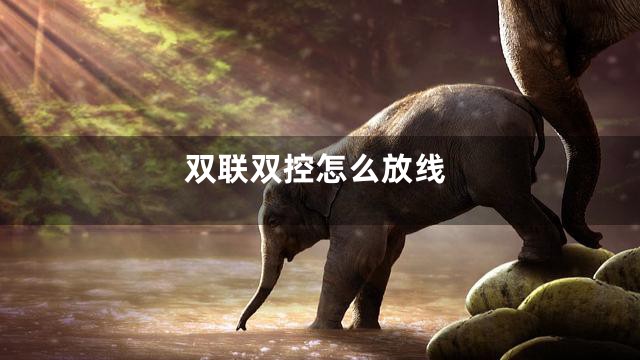 双联双控怎么放线