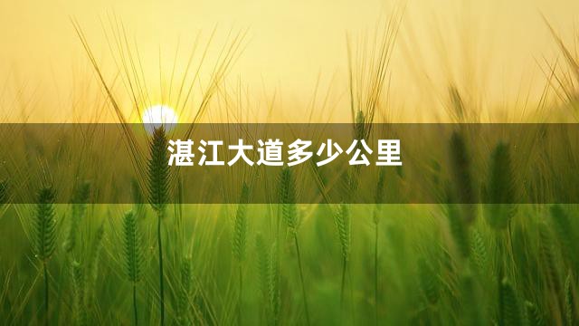 湛江大道多少公里