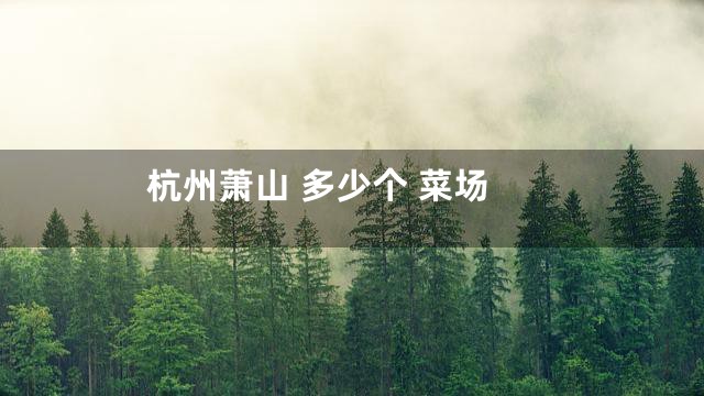 杭州萧山 多少个 菜场