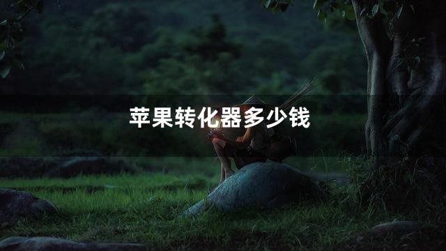 苹果转化器多少钱