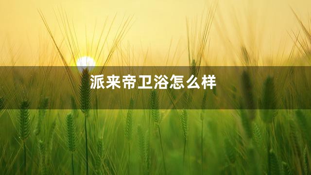 派来帝卫浴怎么样