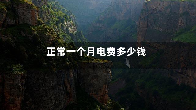 正常一个月电费多少钱