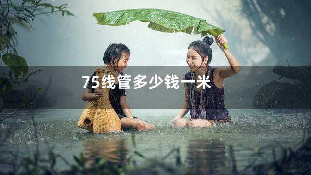 75线管多少钱一米