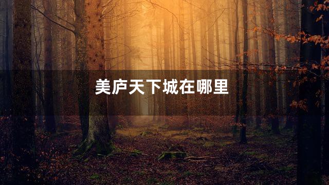 美庐天下城在哪里