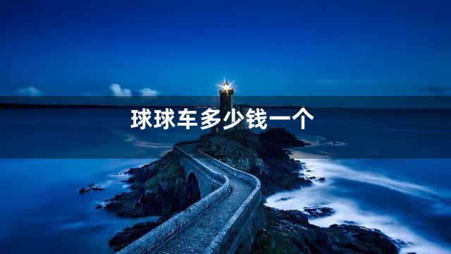 球球车多少钱一个