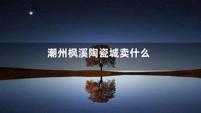 潮州枫溪陶瓷城卖什么