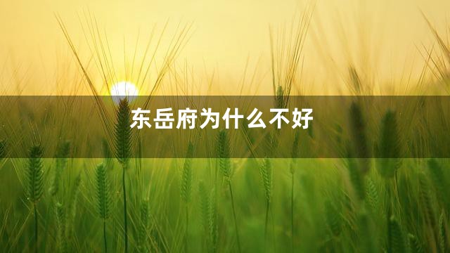 东岳府为什么不好