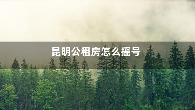 昆明公租房怎么摇号