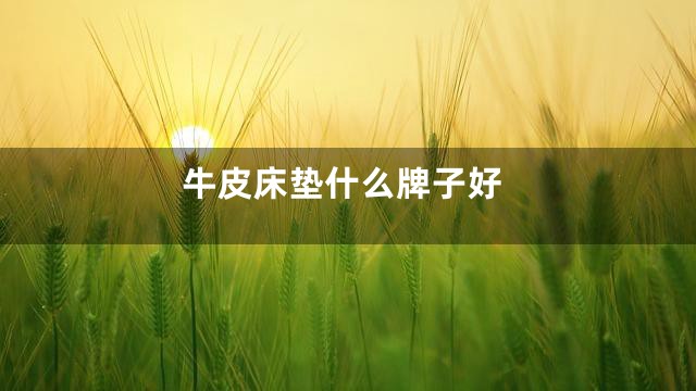 牛皮床垫什么牌子好