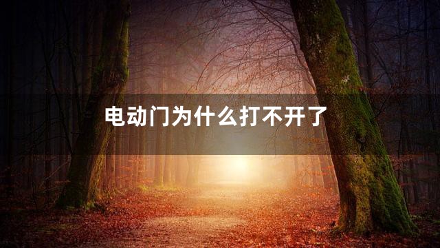 电动门为什么打不开了