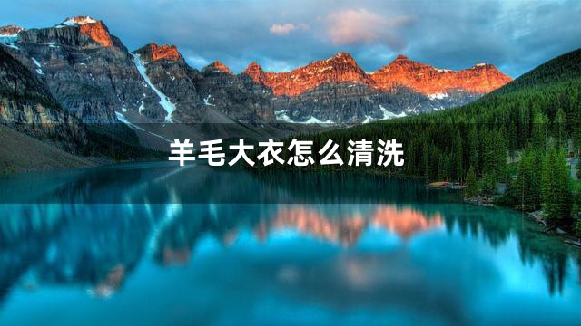 羊毛大衣怎么清洗