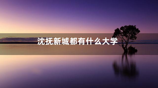 沈抚新城都有什么大学