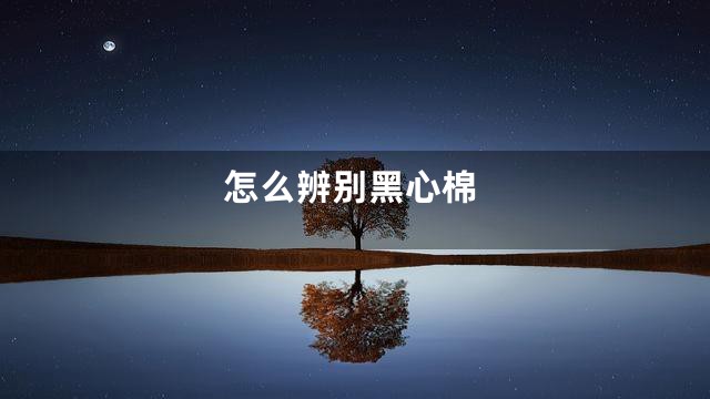怎么辨别黑心棉