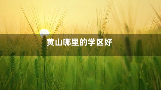 黄山哪里的学区好