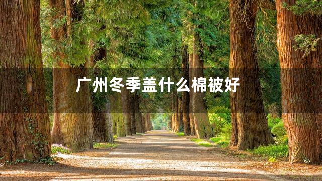 广州冬季盖什么棉被好