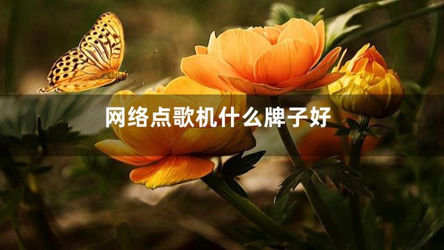 网络点歌机什么牌子好