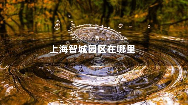 上海智城园区在哪里
