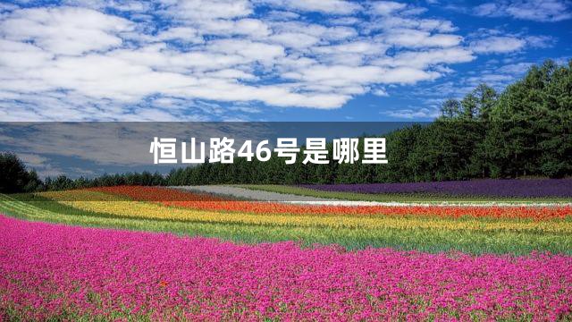 恒山路46号是哪里