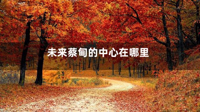 未来蔡甸的中心在哪里