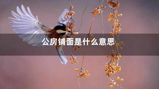 公房铺面是什么意思