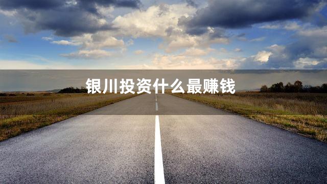 银川投资什么最赚钱
