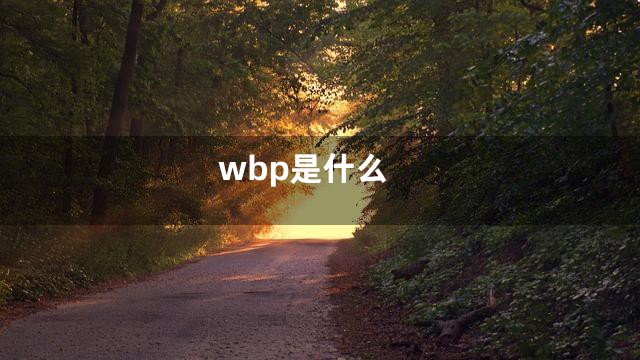 wbp是什么