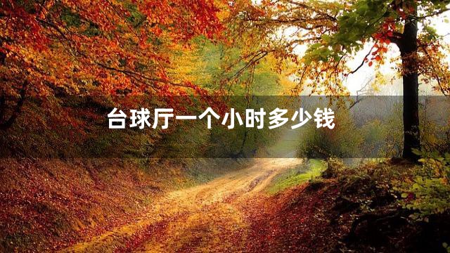 台球厅一个小时多少钱