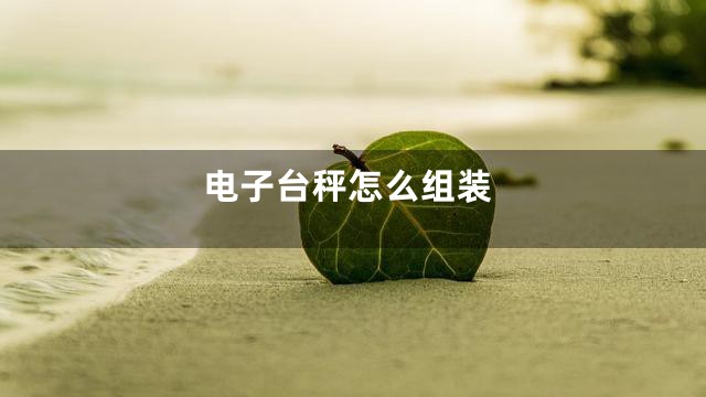 电子台秤怎么组装