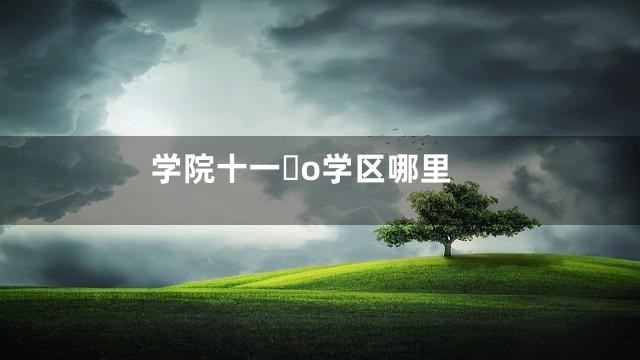 学院十一o学区哪里